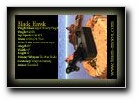 [Click to enlarge]